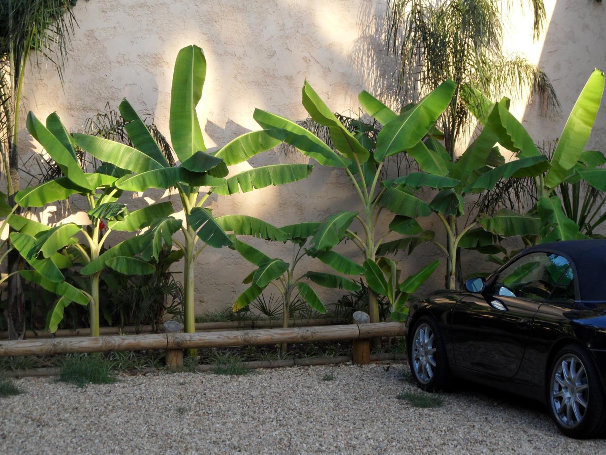 Residence Veles Plage Cannes Exterior foto